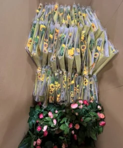 Sonnenblumen Girlanden günstig kaufen