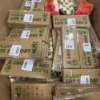 Gemischte Gartenartikel Sonderposten günstig kaufen